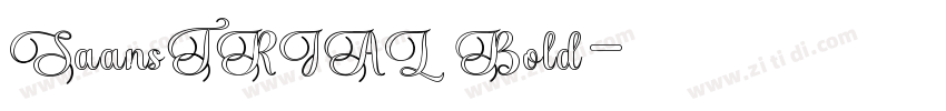 SaansTRIAL Bold字体转换